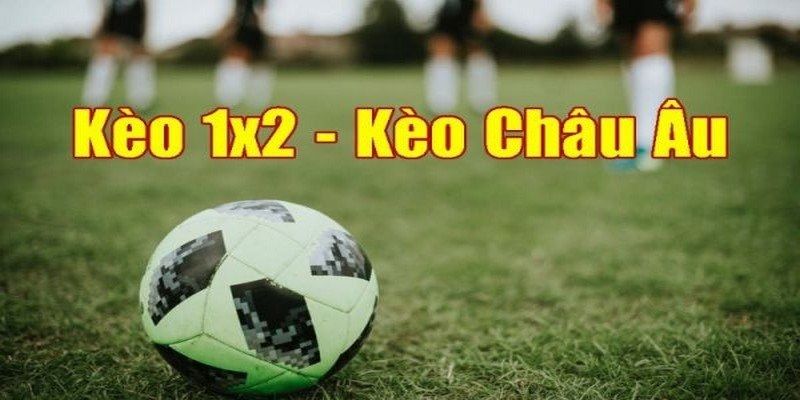 Cách thức đọc kèo 1x2 chuẩn cho người chơi mới tiếp cận