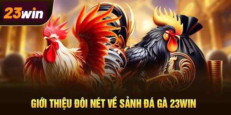 Đôi nét về sảnh đá gà trực tuyến tại 23win